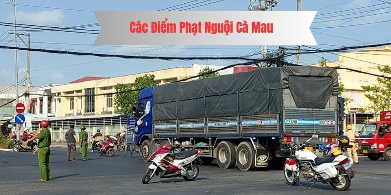 Các điểm phạt nguội cà mau
