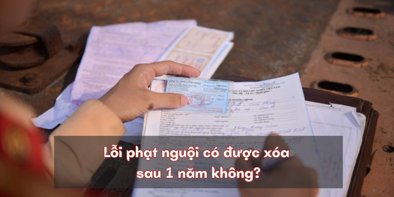 Xóa lỗi phạt nguội